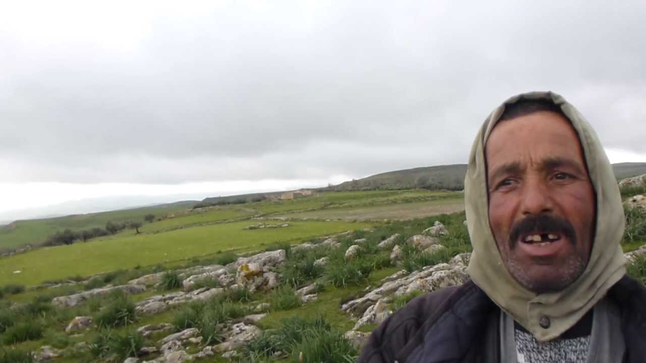 healthcare informatics Mohammed and wild edible mushrooms in Tunisia