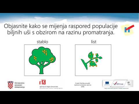 Video: Što je primjer populacije u ekosustavu?