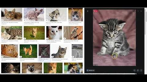 Searching For Creative Commons Images on Google