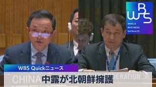 国連安保理　中露が北朝鮮擁護【WBS】（2023年2月21日）