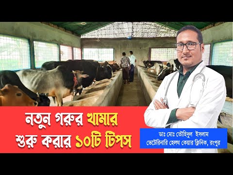 ভিডিও: গরুকে কি টিপ দেওয়া যায়?