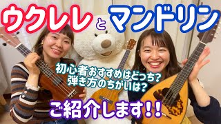 【楽器紹介】ウクレレとマンドリンの違いは？