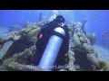 North_safari_2011_Thistlegorm.mp4