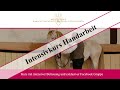 Intensivkurs handarbeit  trailer  reitakademie der frstlichen hofreitschule bckeburg