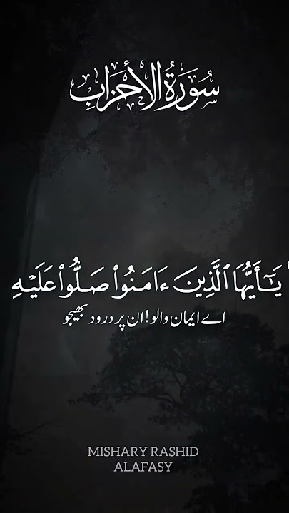 Beautiful Quran Recitation || Mishary Rashid Alafasy || #shorts