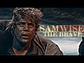 Samwise the brave  i made a promise