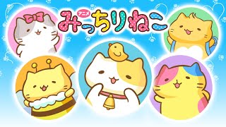 アニメ「みっちりねこ」Amazonプライムビデオで配信中にゃ！