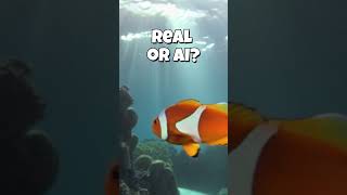 Do you trust this fish? 🐠  #codewithme #fish