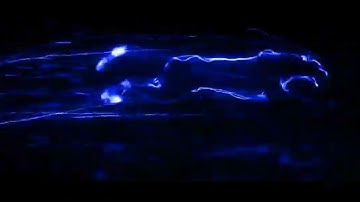 Non copyright Run panther intro template blue colour|| For intro this template||