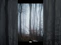 he hijacked a plane... the vanished forever #dark #mysteriou #horrorstories