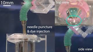 A multifunctional soft robot for cardiac interventions: Tricuspid valve anchor implantation in-vitro screenshot 3