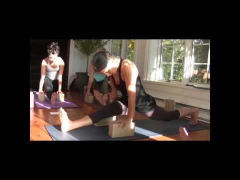 Hanumanasana with Diane Bruni (Part 2)