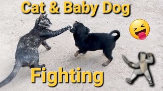 Baby Dog & Cat Fight ? || Funniest Moments  || Animals Funny Videos 2024  #pets4relax