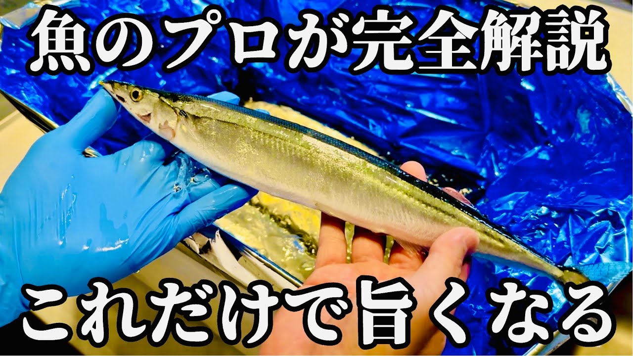 If you don't watch this video on how to eat saury, you're