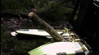 BG-10 Tree/Post Puller