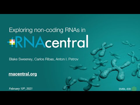 Exploring non‐coding RNAs in RNAcentral (2021)