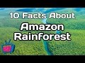 10 mind blowing facts about the amazon rainforest