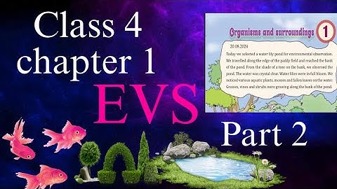 Class 4 EVS Chapter 1 — Organisms and Surroundings | Kerala Syllabus 2025#keralasyllabus#class4evs 