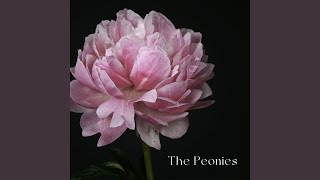 The Peonies