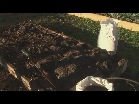 Planting winter crops in your Florida garden