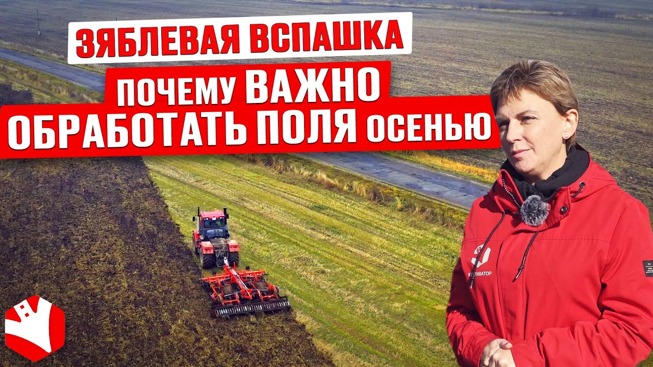 Смотреть видео