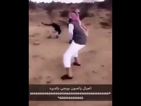 ببجي الديرة