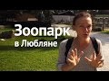 Идем в Зоопарк! Любляна, Словения