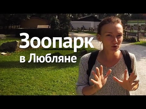 Видео: Зоопарк в Любляна