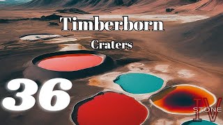 Starting a Badwater Rig | Timberborn 1536