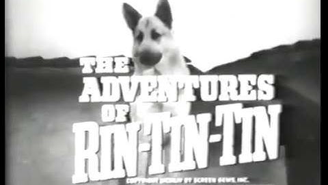 Meet Rin Tin Tin [S1, Ep1] The Adventures of Rin Tin Tin