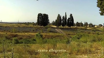 Arducopter 3.1.4-Test Vento forte (non raffiche)-LOITER - Tuning in progress