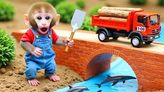 Monkey Nana Drives A Tractor And The Journey Of Building A Birdhouse After A Tornado
