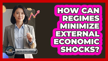 How Can Regimes Minimize External Economic Shocks?