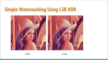 Digital Watermarking using DNA Computing