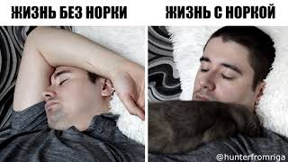 Жизнь С норкой и БЕЗ | Life WITH mink and WITHOUT