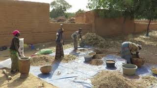 Maradi Region, Niger