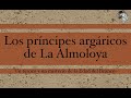 LOS PRÍNCIPES ARGÁRICOS DE LA ALMOLOYA