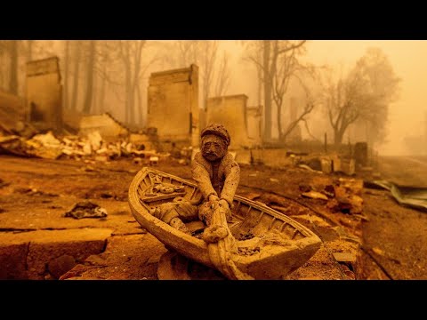 Video: Ang California Wildfires Ay Nakakaapekto Sa Mga Mata At Sistema Ng Paghinga Ng Mga Alagang Hayop
