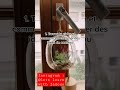 5 Steps to grow your Business using Tiktok: follow me on #instagram  #letslearnwithfadoua for more