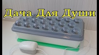 ГИДРОПОНИКА: стоит ли покупать? Тестируем установку ГИДРОПОНИКА: стоит ли покупать? Тестируем установку