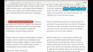 Cree Language Tool Development : Create Anki Card Bookmarklet for the Browser screenshot 4