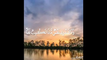 تلاوة عطره بصوت القارئ الشيخ. 🥀 عبد العزيز العسيري. 🥀
