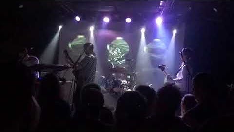 Django Django - Champagne