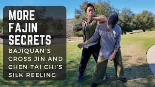 More Fajin Secrets Bajis Cross Jin & Chens Silk Reeling Power