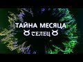 ТЕЛЕЦ "ТАЙНА МЕСЯЦА" апрель 2019г от ОКЕАНЫ ТАРО