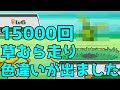 【神回】15000回以上草むらを走り回り色違いを出した男【ポケモンSS】