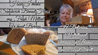 How I make a Soft Sandwich Bread From Fresh Milled Wheat Berries by Whippoorwill Holler 24,206 views 1 month ago 51 minutes