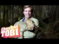 Der Dino-Check | Reportage für Kinder | Checker Tobi im Reich der Dinosaurier