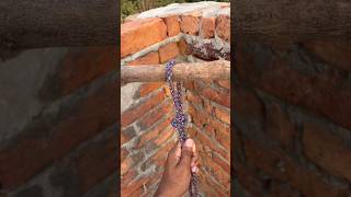 Amazing & Satisfying Rope Knot Trick #RopeKnot #KnotTrick #Satisfying #RopeHack #knottutorial Profile