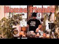 Uplifting Disco House Mix To Start Your Day House Plants By DJ John Michael Volume One Uplifting Disco House Mix To Start Your Day House Plants By DJ John Michael Volume One
